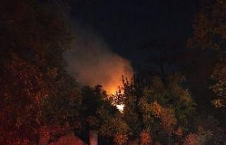 Kartal’da ormanlık alan içerisinde bulunan ahşap...