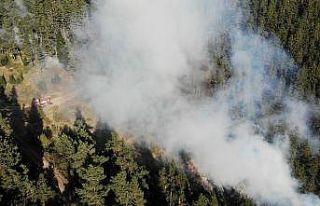 Kastamonu ormanları 4 gündür yanıyor