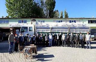 Kastamonu’da 10 bin dekar alanda siyez üretimi...