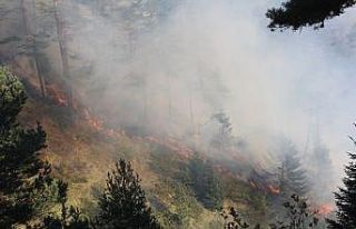Kastamonu’da iki farklı noktada 3 gündür devam...