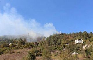 Kastamonu’da orman yangını