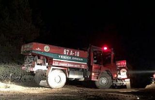 Kastamonu’da ormanlık alanda çıkan yangın güçlükle...