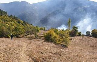 Kastamonu’daki orman yangınları söndürüldü