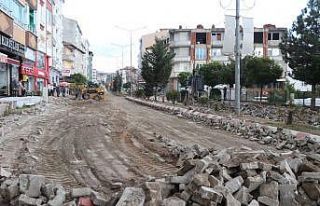 Kavak’a değer katacak proje