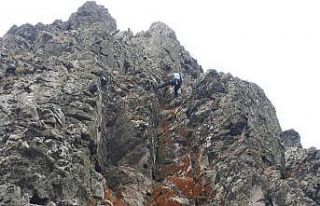 Kayalıklara kaçan keçiyi itfaiye indirerek sahibine...