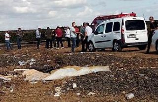 Kayıp emekli hemşire cinayete kurban gitmiş