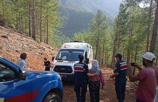 Kayıp kadın 10 gün sonra ormanda sağ olarak bulundu