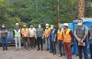 Kaymakam Erdem Yenice Ormanlarını gezdi