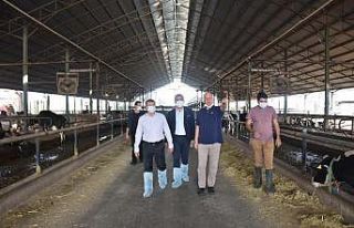 Kaymakam Şahin, Kocagür’deki çiftliği ziyaret...