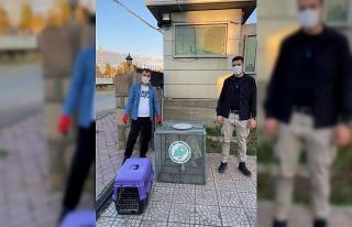 Kaymakamdan örnek davranış
