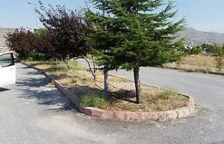 Kayseri Üniversitesi Seyrani Meslek Yüksekokulu’nun...