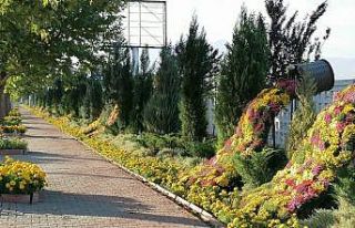 Kayseri’de sonbahar güzelliği
