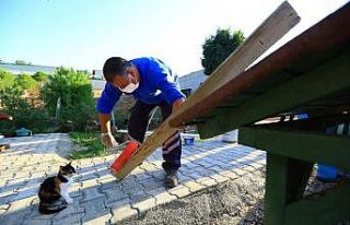 Kedilerin kışlık yuvaları hazırlanıyor