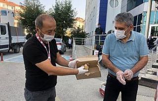 Kedinin saldırısına uğrayan yavru kuşu doktoru...