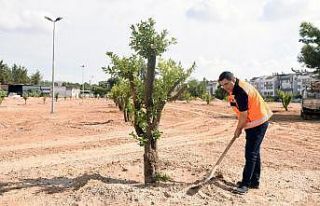 Kepez’e 3 milyon 200 bin metrekare yeşil alan