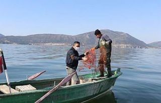 Kerevitte av yasağı başlıyor