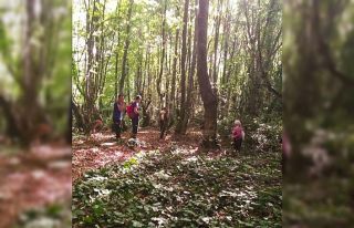 Kestane toplamaya gittiği dağda kayboldu