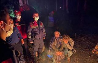 Kestane toplarken kaybolan kadın bulundu