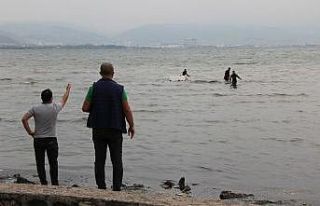 Kocaeli’de kaçak midye avcıları polisi görünce...
