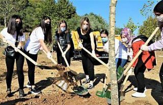 Kocaeli’deki gençler Hatay’daki orman yangını...