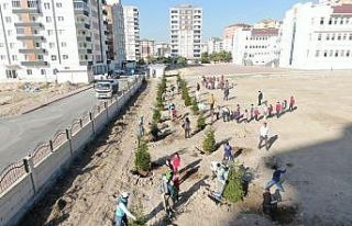 Kocasinan Belediyesi, ağaç dikimiyle geleceğe nefes...