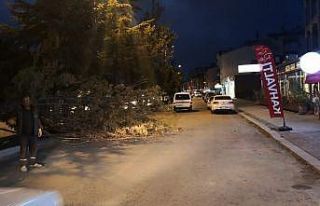 Konya’da fırtına ağaçların dallarını kırıp...