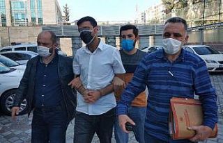 Köpeği öldürüp, sahibini bıçakladı