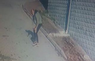 Köpeği önce sevdi, sonra kaçırdı, o ânlar güvenlik...