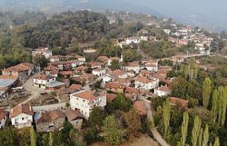 Korona virüs bu köye uğramadı