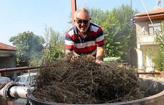 Korona virüsle mücadelede doğal dezenfektan: Kekik...