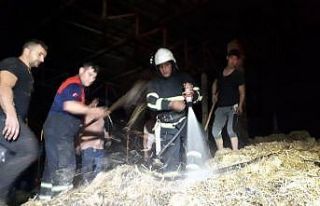 Köşk’teki yangında 300 paket saman zarar gördü