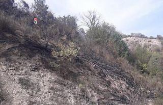 Küçük çaplı yangın paniğe neden oldu