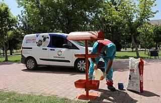 ’Küçük dostlar’ Kocasinan’da her zaman değerli
