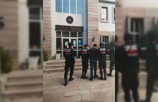 Küçükbaş hayvanları çalan şahısları jandarma...