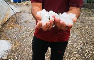 Kumluca’da dolu yağışı seralara zarar verdi