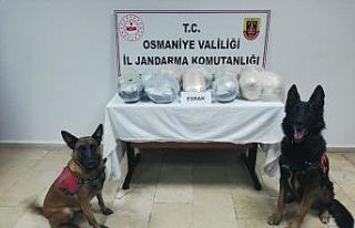 Kuru üzüm ve dut çuvallarından uyuşturucu çıktı