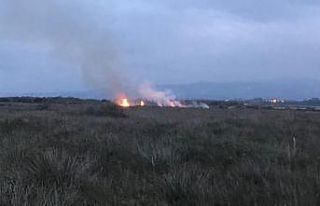 Kuş Cenneti sazlık alanda yangın