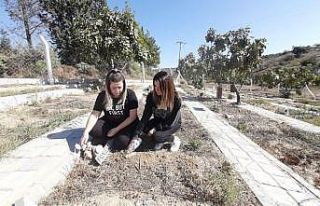 Kuşadası Can Dostlar defin alanına 89 hayvan defnedildi