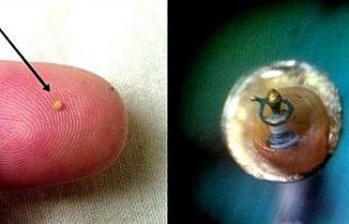 Kuşadası’nda milimetrik boyutlarda 42 mikro minyatür...