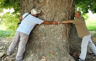 Kuşadası’nın doğal miraslarının tescil çalışması...