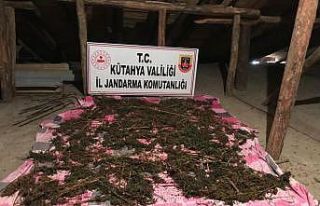 Kütahya’da uyuşturucu operasyonu: 2 gözaltı