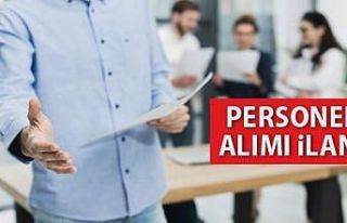 Kuzeydoğu Anadolu Kalkınma Ajansı personel giriş...