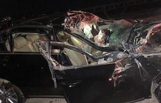 Makas atmaya çalıştı, kamyonetin altına girdi:...