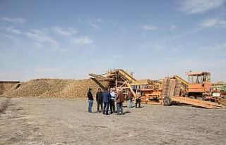 Malazgirt’te pancar alımı devam ediyor