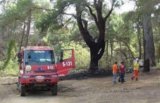 Manavgat’a 3 günde 6 orman yangını