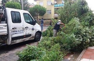 Manisa’da etkili olan fırtına bazı ağaçları...
