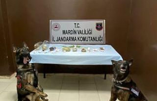 Mardin’de uyuşturucu operasyonu: 4 gözaltı