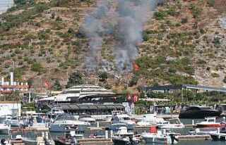 Marina karşısındaki yangın ormana sıçramadan...
