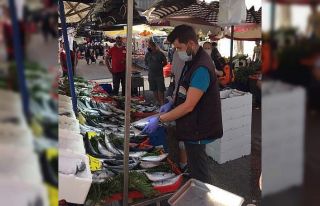 Marmara’da usulsüz balık avcılığına 29 bin...