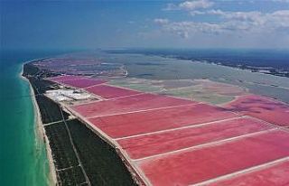 Meksika’nın Pembe Gölü’nü Türk çift görüntüledi